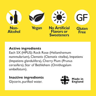 Bach RESCUE Remedy Dropper 20mL