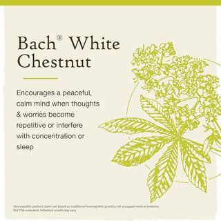 Bach Original Flower Remedies, White Chestnut for Calming Repetitive Thoughts (Non-Alcohol Formula), 10mL Dropper