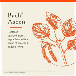 Bach Original Flower Remedies, Aspen for Apprehension and Security (Non-Alcohol Formula), 10mL Dropper