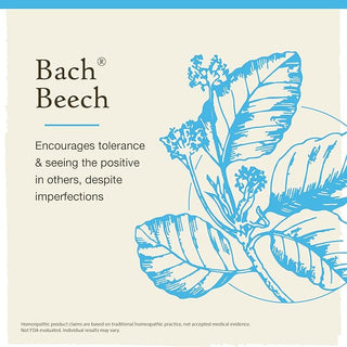 Bach Original Flower Remedies, Beech for Tolerance (Non-Alcohol Formula), 10mL Dropper