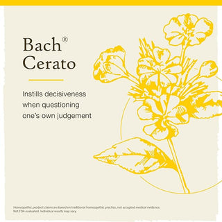 Bach Original Flower Remedies, Cerato for Trusting Intuition (Non-Alcohol Formula), 10mL Dropper