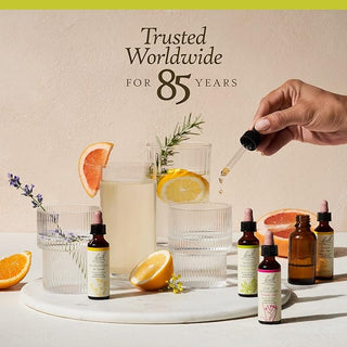 Bach Clematis for Focus and Concentration (Non-Alcohol Formula)