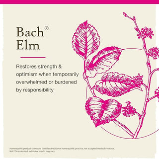 Bach Original Flower Remedies, Elm for Efficiency & Self-Assurance (Non-Alcohol Formula), 10mL Dropper