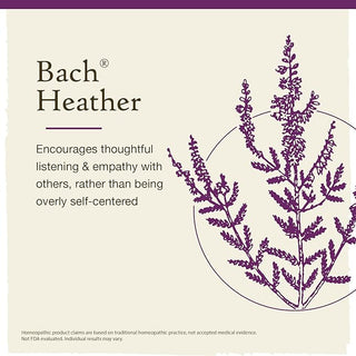 Bach Original Flower Remedies, Heather for Empathy (Non-Alcohol Formula), 10mL Dropper