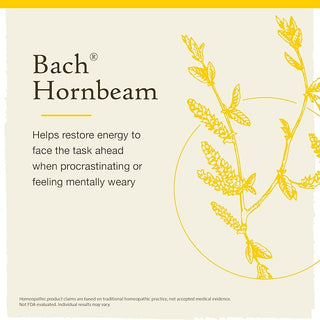 Bach Original Flower Remedies, Hornbeam for Procrastination (Non-Alcohol Formula), 10mL Dropper