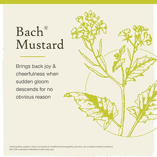 Bach Original Flower Remedies, Mustard for Joy (Non-Alcohol Formula), 10mL Dropper