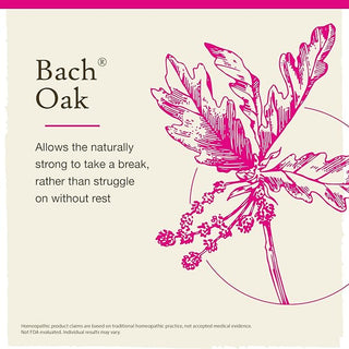 Bach Original Flower Remedies, Oak for Endurance and Strength (Non-Alcohol Formula), 10mL Dropper