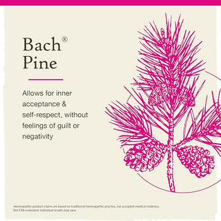 Bach Original Flower Remedies, Pine for Self Respect (Non-Alcohol Formula), 10mL Dropper