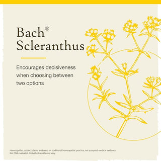 Bach Original Flower Remedies, Scleranthus for Decisiveness (Non-Alcohol Formula), 10mL Dropper