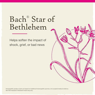 Bach® Star of Bethlehem