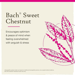 Bach Original Flower Remedies, Sweet Chestnut for Optimism (Non-Alcohol Formula), 10mL Dropper