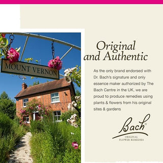 Bach Original Flower Remedies, Sweet Chestnut for Optimism (Non-Alcohol Formula), 10mL Dropper