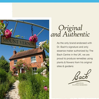 Bach Original Flower Remedies, Vervain for Relaxation and Calm (Non-Alcohol Formula), 10mL Dropper