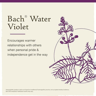 Bach Original Flower Remedies, Water Violet for Connecting with Others (Non-Alcohol Formula), 10mL Dropper