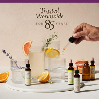 Bach Original Flower Remedies, Water Violet for Connecting with Others (Non-Alcohol Formula), 10mL Dropper