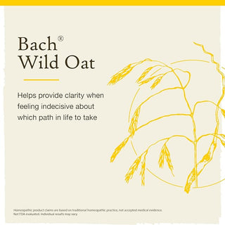 Bach Original Flower Remedies, Wild Oat for Deciding Life's Path (Non-Alcohol Formula), 10mL Dropper
